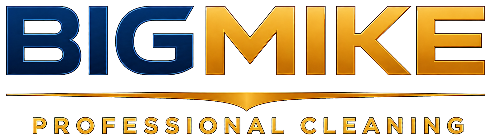 BIGMIKE Professional Cleaning